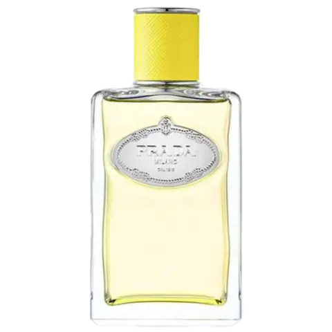 Infusion D'Ylang