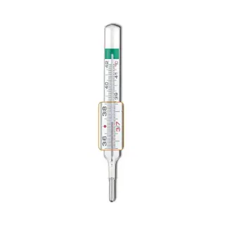 Pic - პიკი თერმომეტრი VEDOECOPLUS