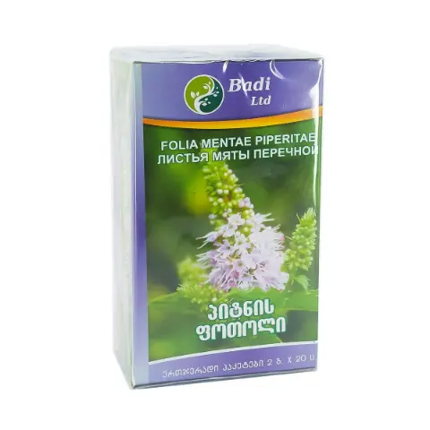 Mint single pack 20 pcs